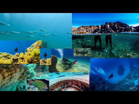 Buceo en Punta de Abona 22-04-2023