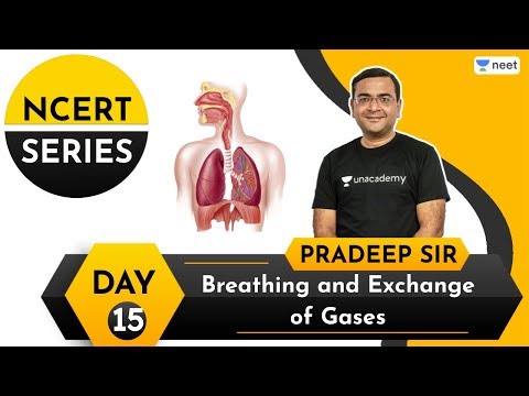 NCERT Series: Breathing & Exchange of Gases | E15 | Unacademy NEET | Pradeep Singh