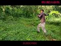 Wild Honey bee hunting(visayan)part-1