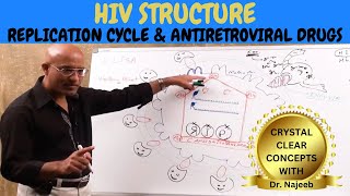 Hiv Aids Sign Symptoms Transmission Treatment Dr Najeeb