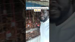 Chicken Farming as a Cashflow Business | How to Earn Daily Income