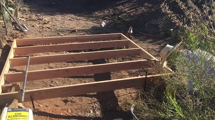 New coop build start
