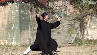 Wudang Sanfeng Taiji Quan 28 By Master Zhong Yunlong Slo-Mo