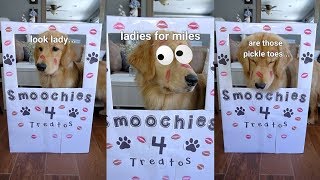 My Puppy Runs a Kissing Booth!