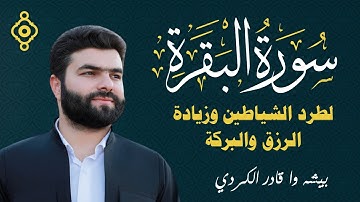 سورة البقرة كاملة - الشيخ بيشه وا قادر الكردي | Sourate Al Baqarah - Peshawa Qadir Al Kurdi
