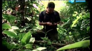 Fuga de las FARC Documental