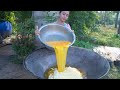 How to cook rice fried with egg recipe in my homeland  polin lifesyle