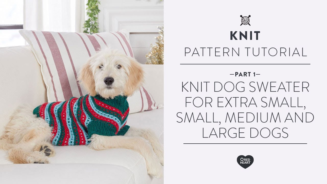 Knitting patterns for small dogs sweaters