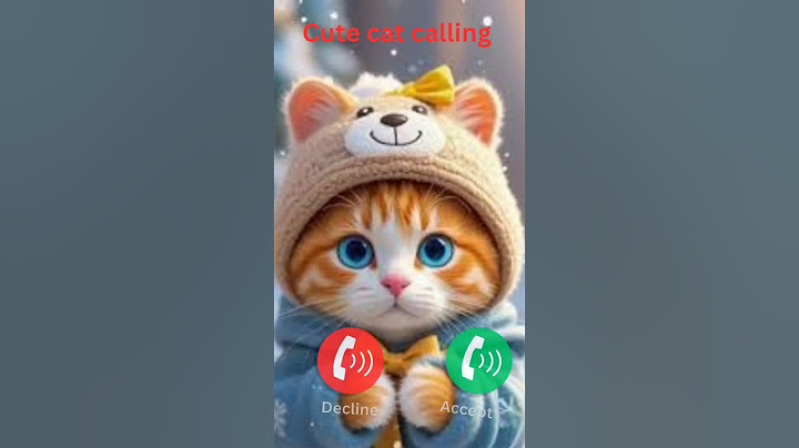cat calling #ringtone #smartphone #music #ringtones #song #device #cat #funnycallringto #funny