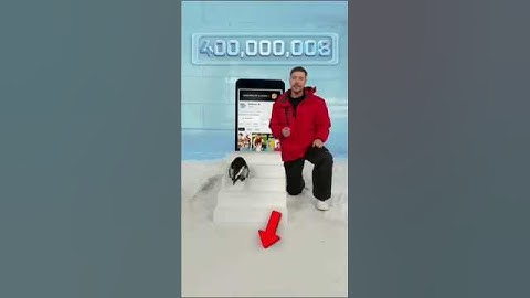 Can I Teach a Penguin To Subscribe? | #shortsfeed #trending #mrbeast #shortsvideo  #shorts