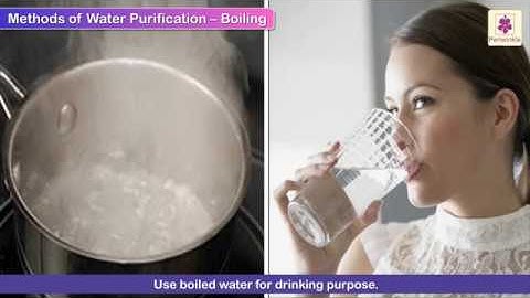 Weather, Water and Air | Science For Kids | Grade 4 | Periwinkle