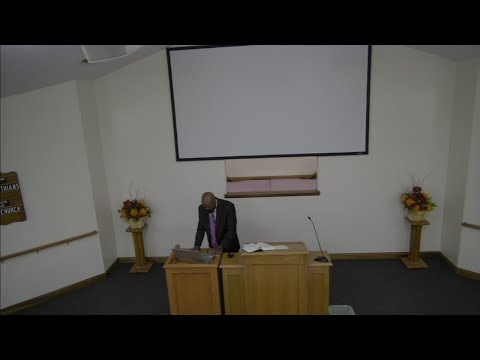Video preview