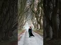 Winter is Coming to the Game of Thrones Dark Hedges in Northern Ireland