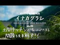 【古民家DIY】素人でもできた!土間キッチンの床 モルタル金ゴテ仕上げ DIY/百万円で購入した家 キッチン リフォーム第8弾/KYOTO 古民家田舎暮らし/家族で里山移住し古民家カフェを作る#09