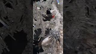 Beautiful crystal tree in Austria #viral #foryou #travel #switzerland #vlog #austrianalps #auerswald