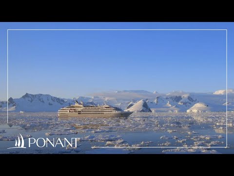 Our cruises in Antarctica | PONANT