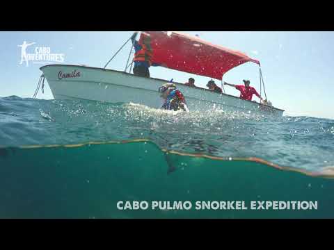 Video: Cabo Pulmo National Park: de complete gids