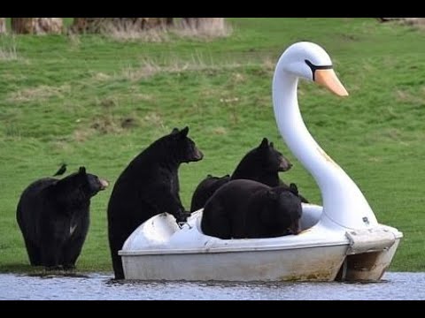 COFFEE TIME! OnlyFans Donations Welcome, Alexa Make Monkeys Disappear