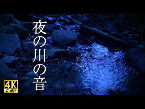 夜の川と秋の虫の音【音散歩】