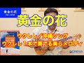 04 黄金の花【ウクレレ/沖縄ソング~ウクレレ1本で奏でる美らメロディ】アレンジ&演奏:平倉信行