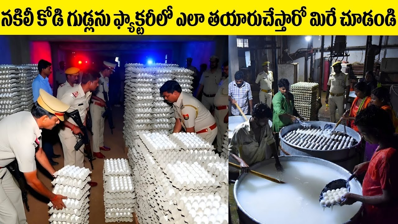 నకిలీ కోడి గుడ్లను ఫ్యాక్టరీలో ఎలా తయారుచేస్తారో మిరే చూడండి | Be A Thinker