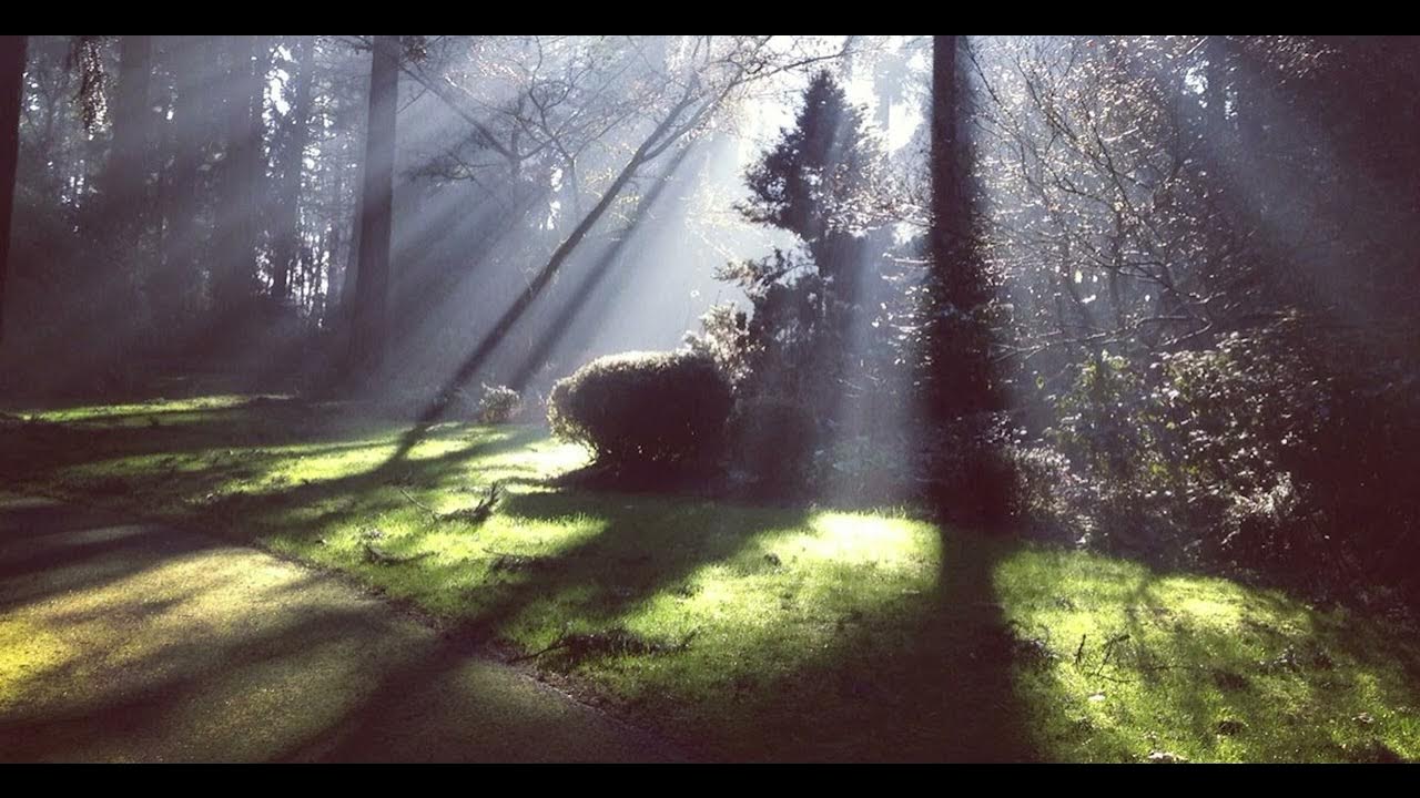 Фон эмбиент. Эмбиент музыкальный жанр. Ambient 2012. Ambient replay escape. Ambient replay escape.