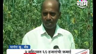 Balasaheb Gunale's Shade net bitter gourd farming  success story
