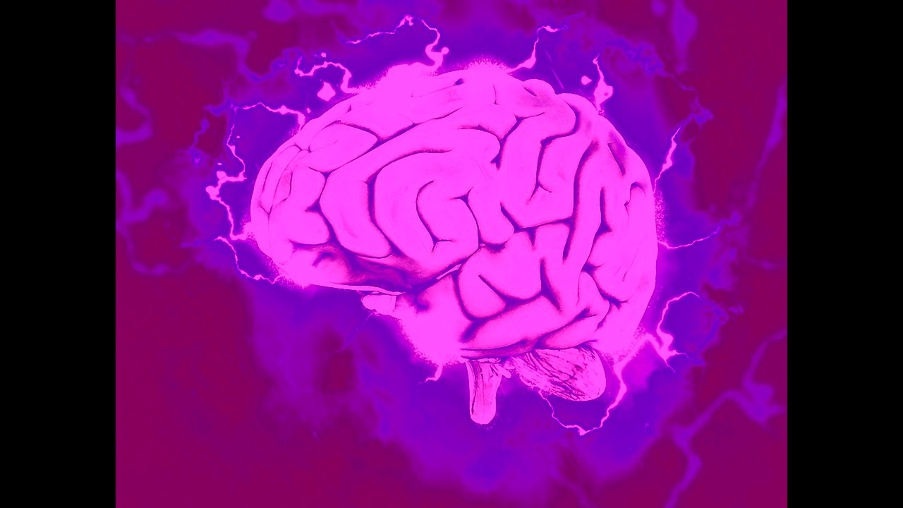 Нейропротектор, Память, Мумие, Олеамид