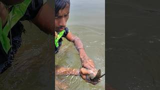 সেই রকম মাছ 😍#reels #fishing