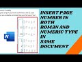 Insert Roman & English Page Numbers in MS Word