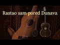 Rastao Sam Pored Dunava Instrumental Cover