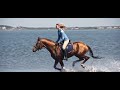 Horse Running Sound Effect. Horse Running on Water