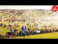 Wonderful World Largest and Oldest Horse Farm in China and Mongolia, The Royal Military Horseyard