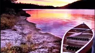 paul mauriat -- sleep walk