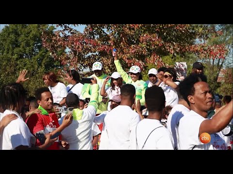 ቪዲዮ: የግራንድ አናናስ ሁሉን አቀፍ የካሪቢያን የባህር ዳርቻ ሪዞርቶች መሰረታዊ ነገሮች