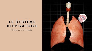 Le système respiratoire - The world of logic #2
