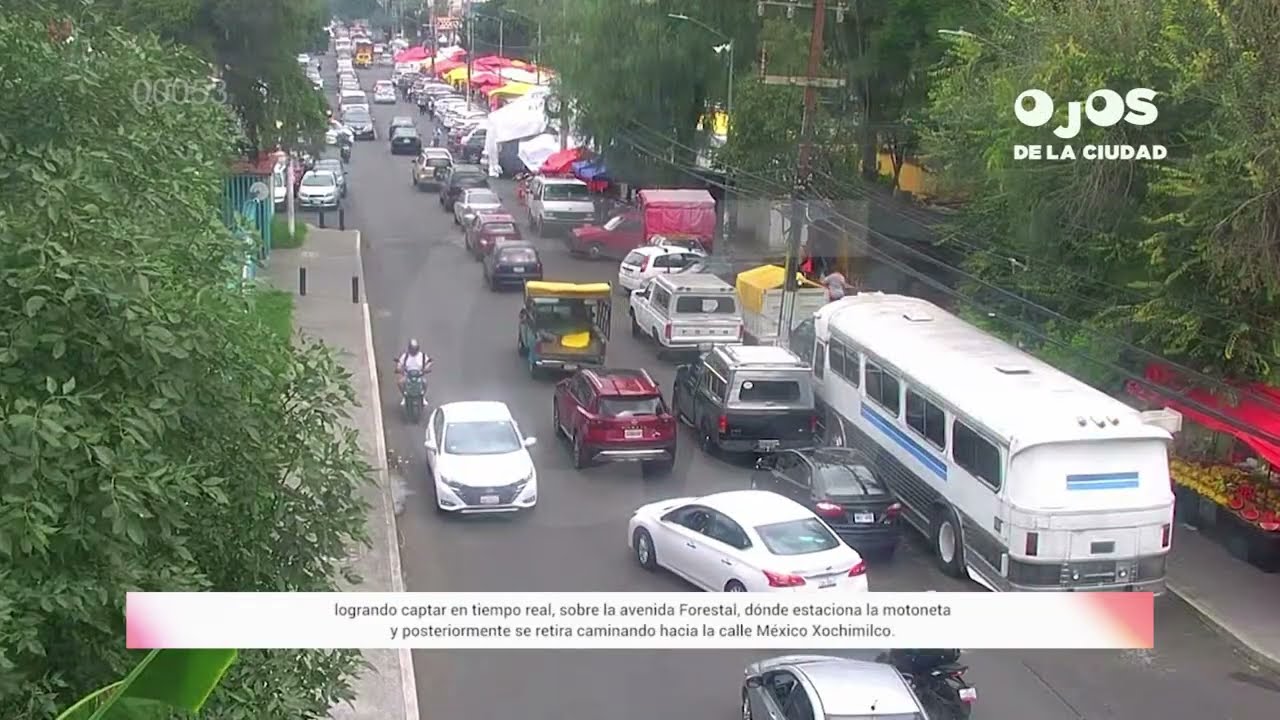 Casos Relevantes Semana 30/08 - 05/09/25 | #C5CorazónDeLaCDMX