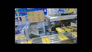 TL-CT-200H/300H Cake Cartoning Machine | 10-Servo Smooth & Precise Packaging