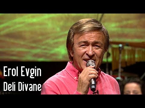 Erol Evgin - Deli Divane