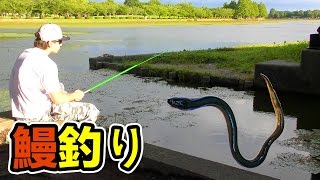 鰻釣り!!【人生初めての釣り】　PDS