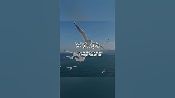 ايات تدل على عظمة الله راحة نفسية🌿حالات واتس اب قران🍁آيات قرانية قصيرة❤ستوريات انستقرام🌹Quran status