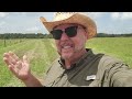 Southern Lawn Care: Drought Resistant and Homestead Happy Grass with xeriscaping