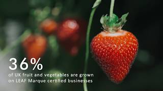 Leaf - Delivering More Sustainable Food And Farming