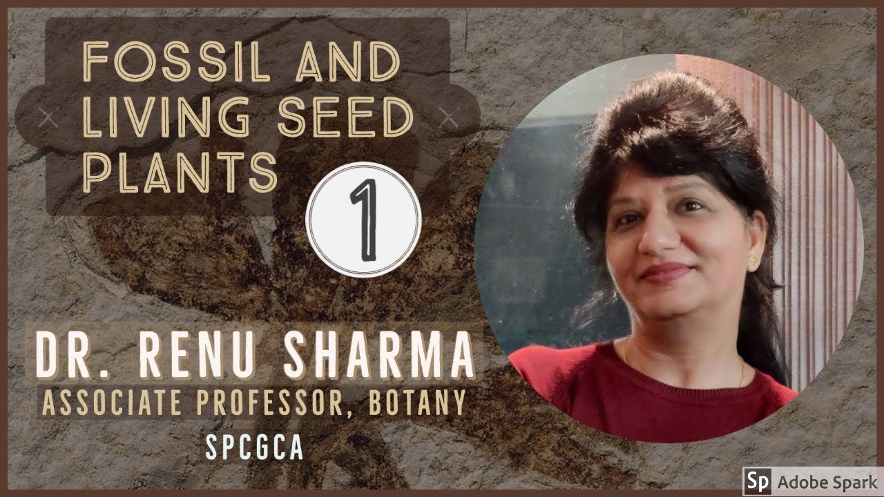 Fossil and Living Seed Plants Part - 1 :: Dr. Renu Sharma