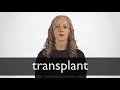 How to pronounce TRANSPLANT in British English