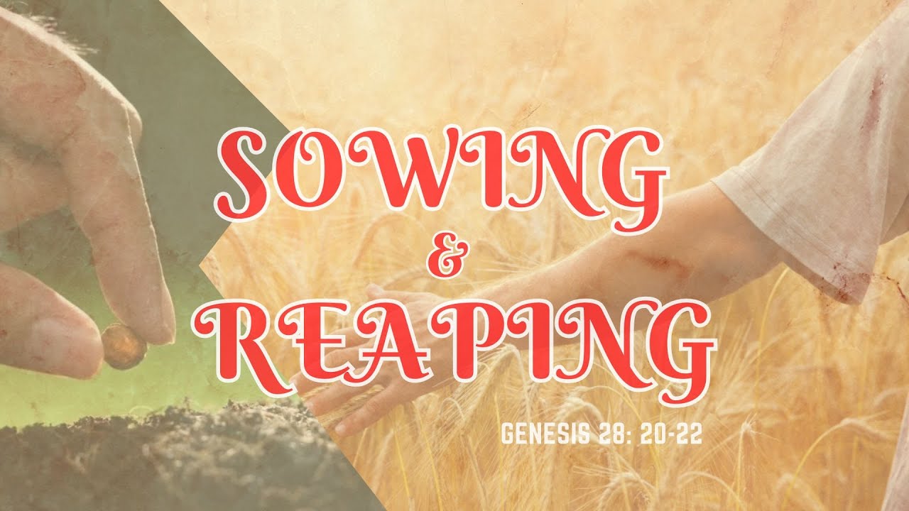 sermon-sowing-and-reaping-scripture-reading-genesis-28-20-22-youtube