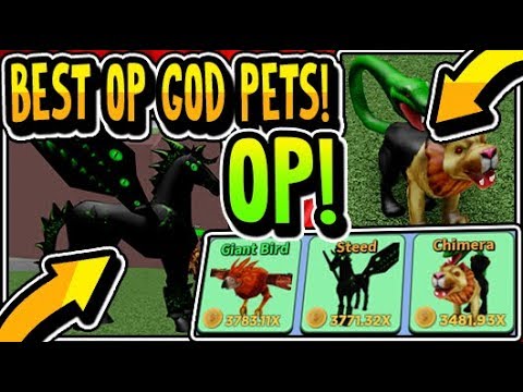 Getting Best Op Tier 12 God Pets On Warrior Simulator Warrior Simulator New Update 4 Roblox Youtube - doge pet gamepass roblox