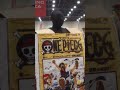 One Piece Manga Cosplay - Literally! #onepiece #cosplay #shorts