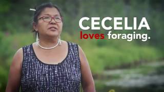 Cecelia Loves Foraging