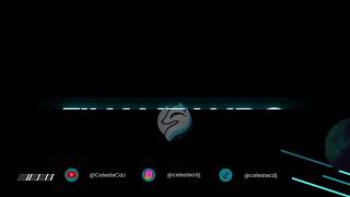 QUE ESTARA PASANDO EN CIUDAD MAPACHE?